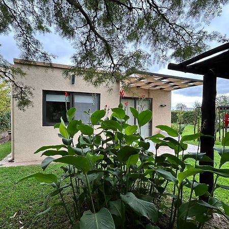 Loft Los Cerezos En Vistalba, Zona De Vinedos Y Bodegas Lujan de Cuyo Eksteriør billede