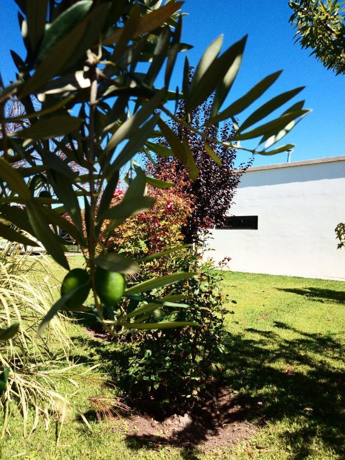 Loft Los Cerezos En Vistalba, Zona De Vinedos Y Bodegas Lujan de Cuyo Eksteriør billede